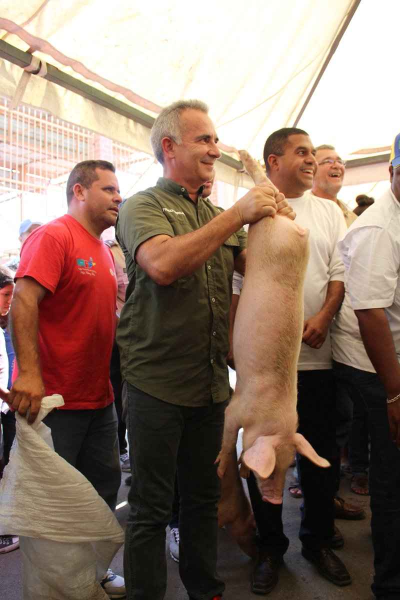 Resultado de imagen para bernal entrega cerdos