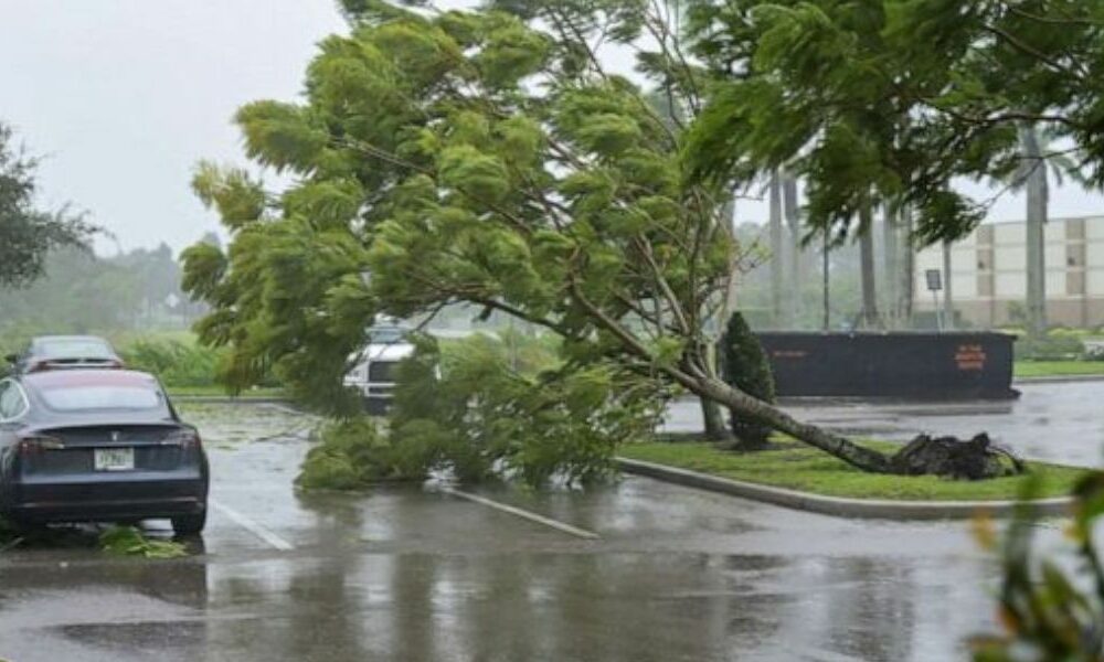 Un millón de hogares en Florida se quedan sin electricidad por el paso