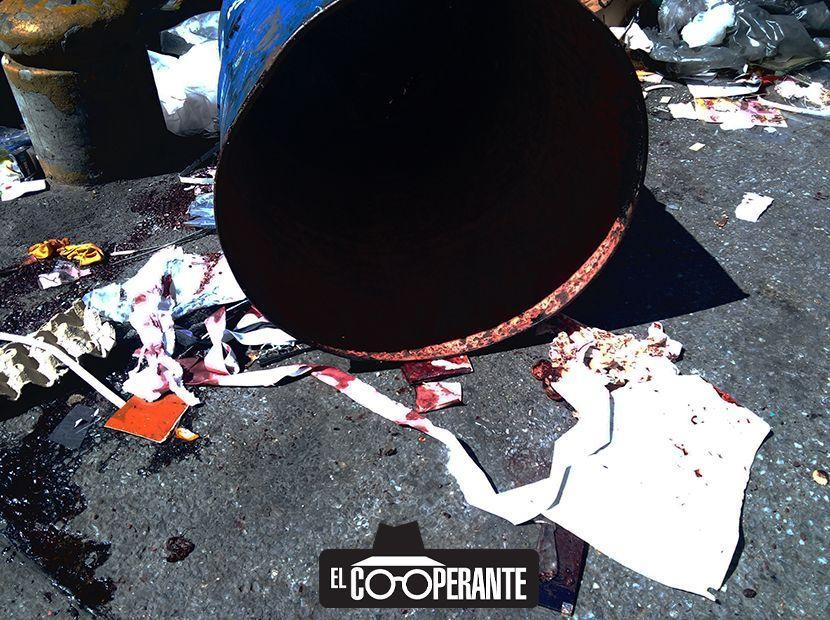 Foto: Lysaura Fuentes 