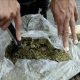 marihuana, droga