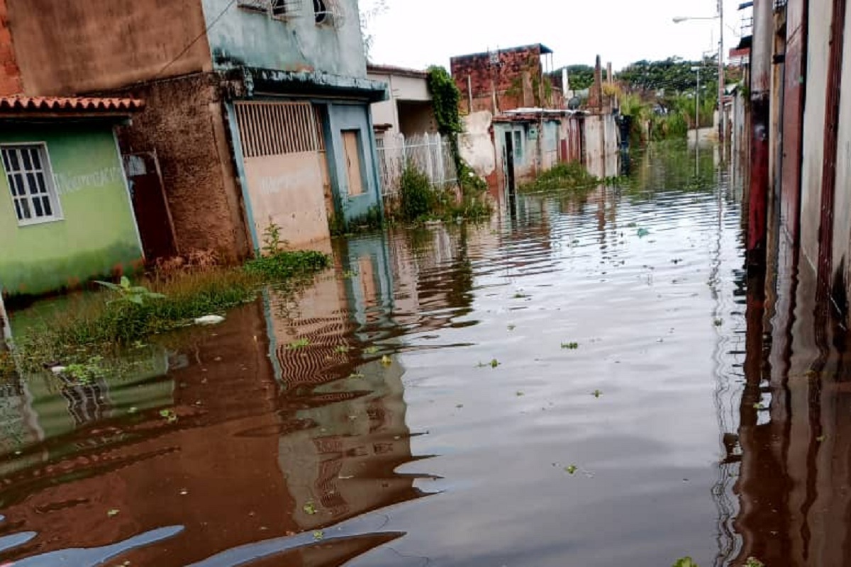 maracay