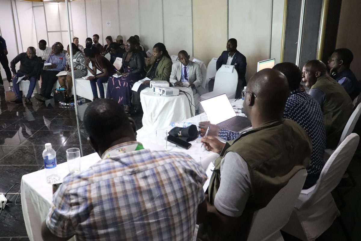 Consejo Electoral de Zimbabue